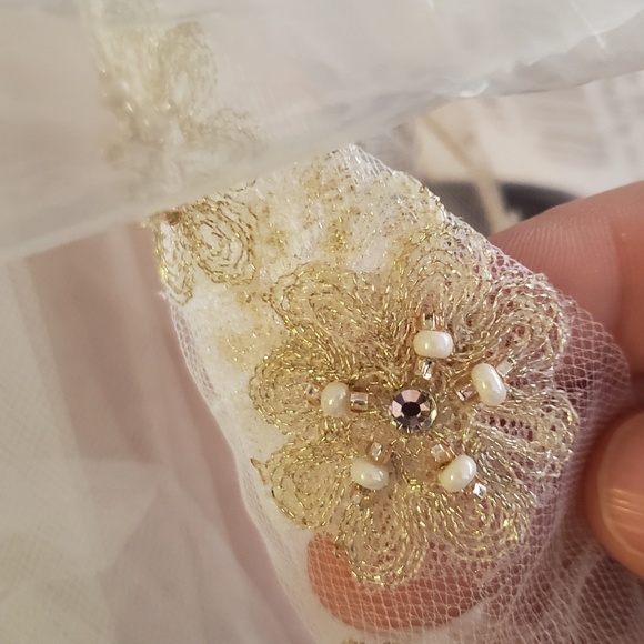 Davids bridal veil - Picture 4 of 5